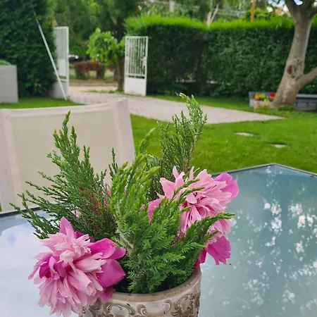 Világos Kert Chill House Sauna Nyaraló