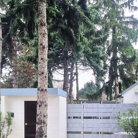 Világos Kert Chill House Sauna