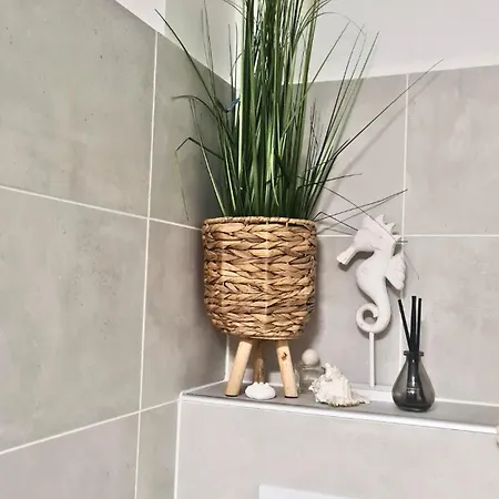 Világos Kert Chill House Sauna