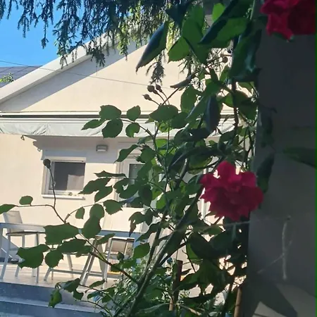 Vilagos Kert Garden -balatonvilagos Σπίτι διακοπών Balatonvilágos