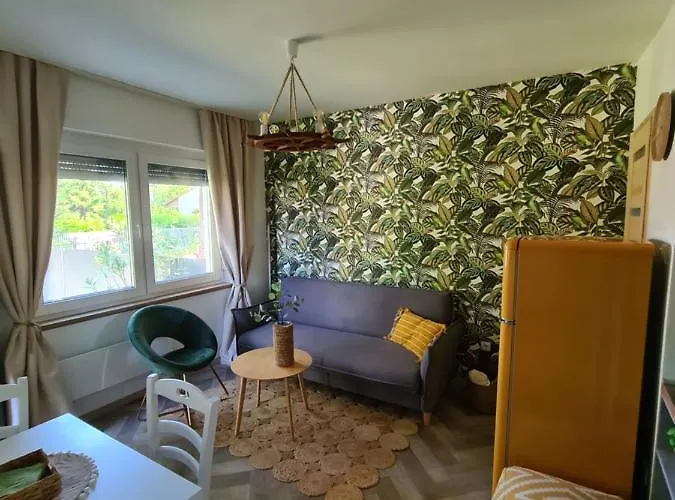 Világos Kert Chill House