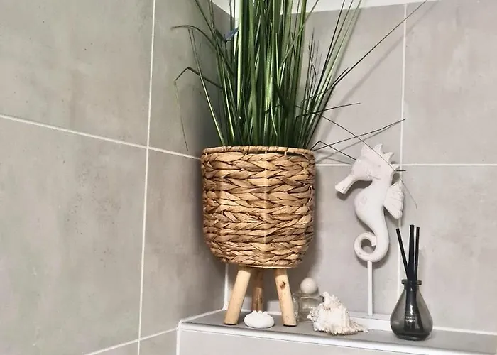 Világos Kert Chill House